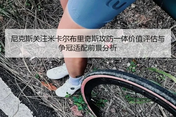尼克斯关注米卡尔布里奇斯攻防一体价值评估与争冠适配前景分析