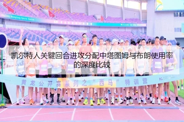 凯尔特人关键回合进攻分配中塔图姆与布朗使用率的深度比较